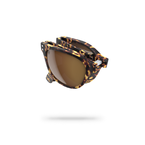 v1 Tortoiseshell
