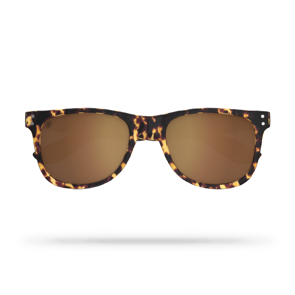 v1 Tortoiseshell